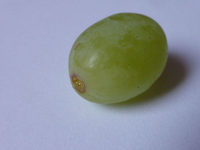 White-grape-3
